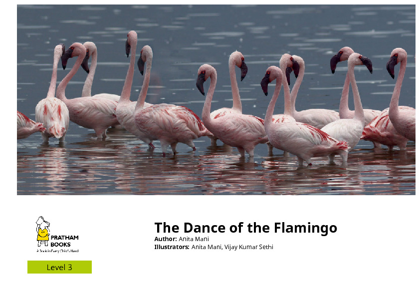 The Dance of the Flamingos